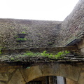 DSC07143